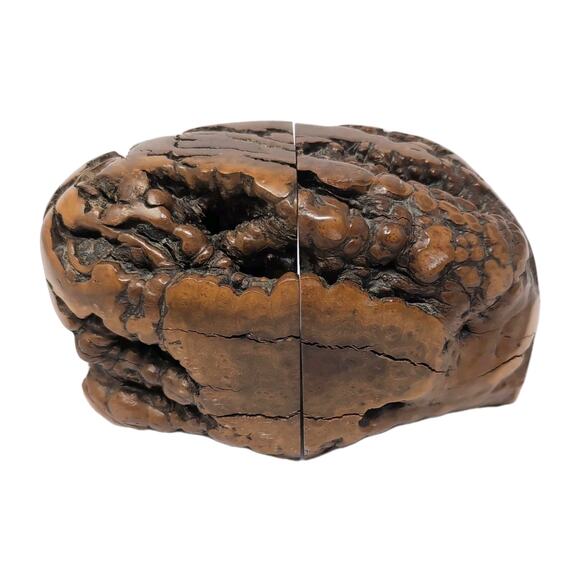 Burl Wood Bookends Live Edge Natural Rustic Library Mid Century Modern Unique - Picture 4 of 10